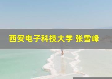 西安电子科技大学 张雪峰